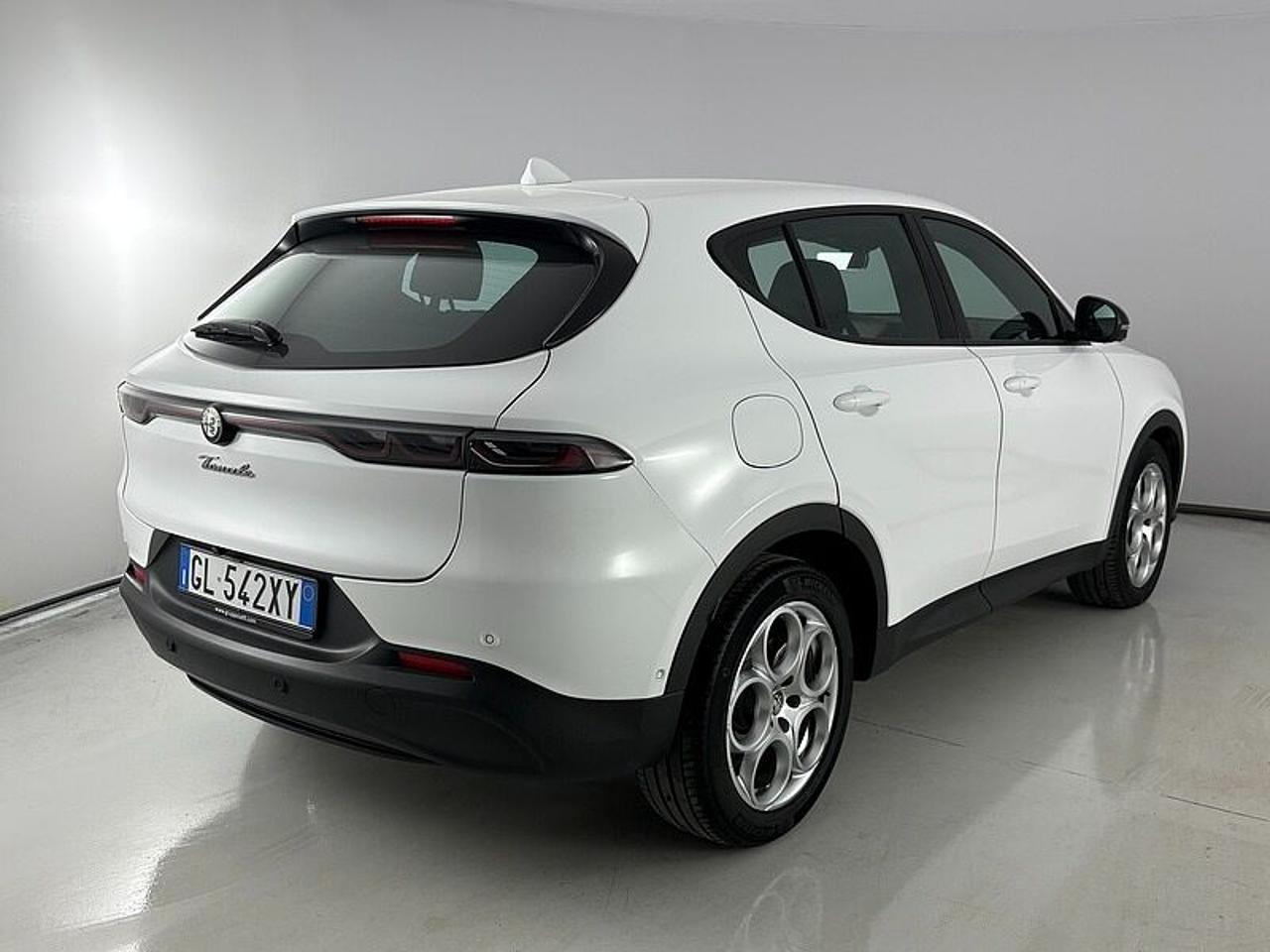 Alfa Romeo Alfa Romeo Tonale usata 19