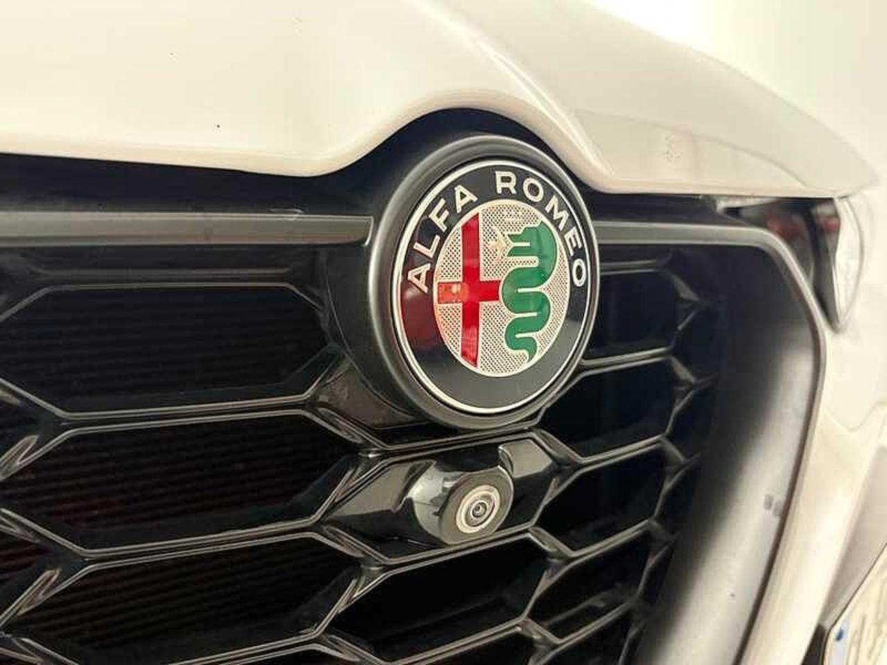 Alfa Romeo Alfa Romeo Tonale usata 21