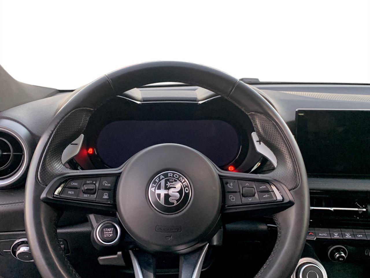 Alfa Romeo Alfa Romeo Tonale usata 7