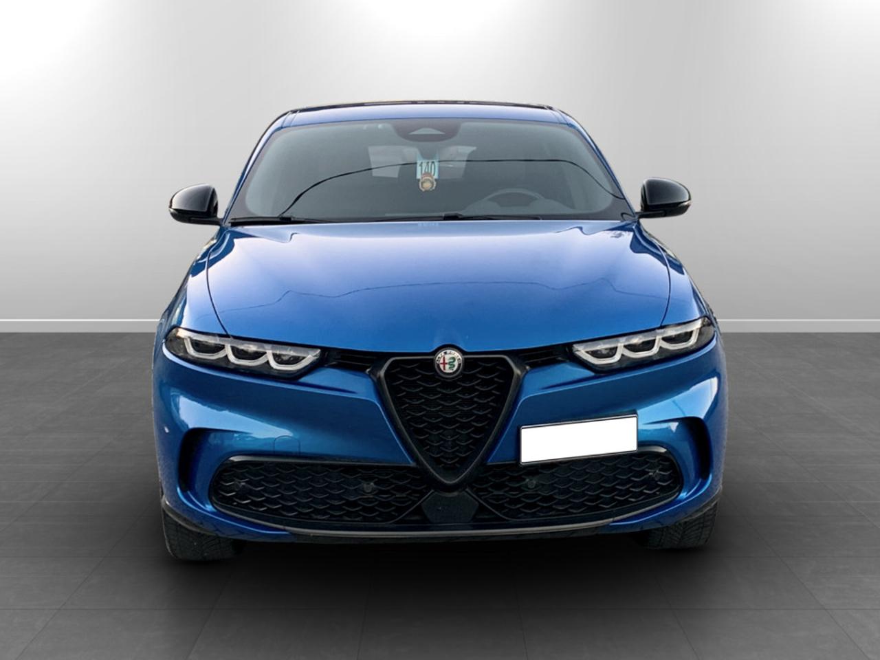 Alfa Romeo Alfa Romeo Tonale usata 14