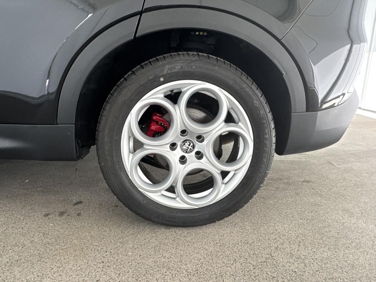 Alfa Romeo Alfa Romeo Tonale usata, con GPS