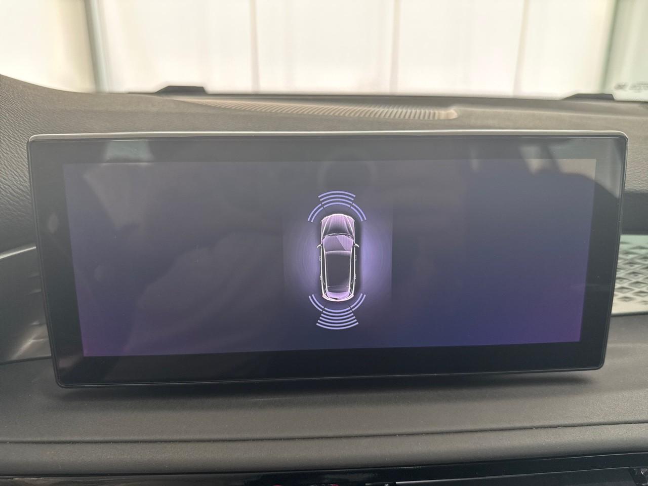 Alfa Romeo Alfa Romeo Tonale usata 7