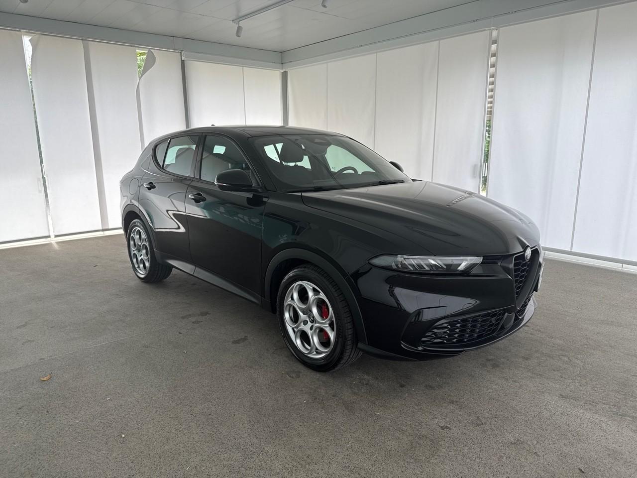 Alfa Romeo Alfa Romeo Tonale usata 14
