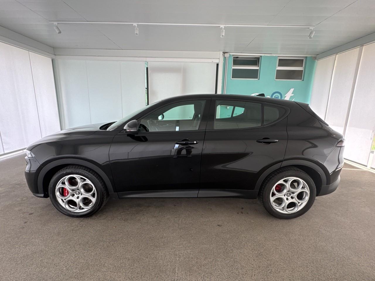 Alfa Romeo Alfa Romeo Tonale usata 15