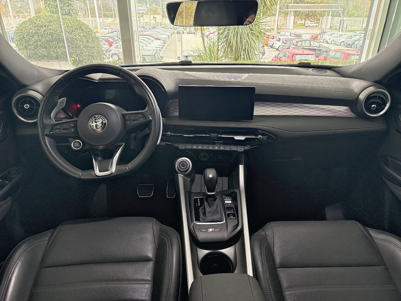 Alfa Romeo Alfa Romeo Tonale usata 19