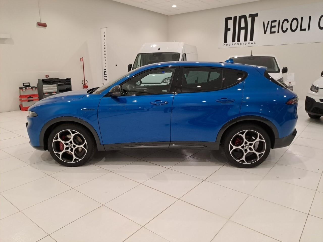 Alfa Romeo Alfa Romeo Tonale usata 15