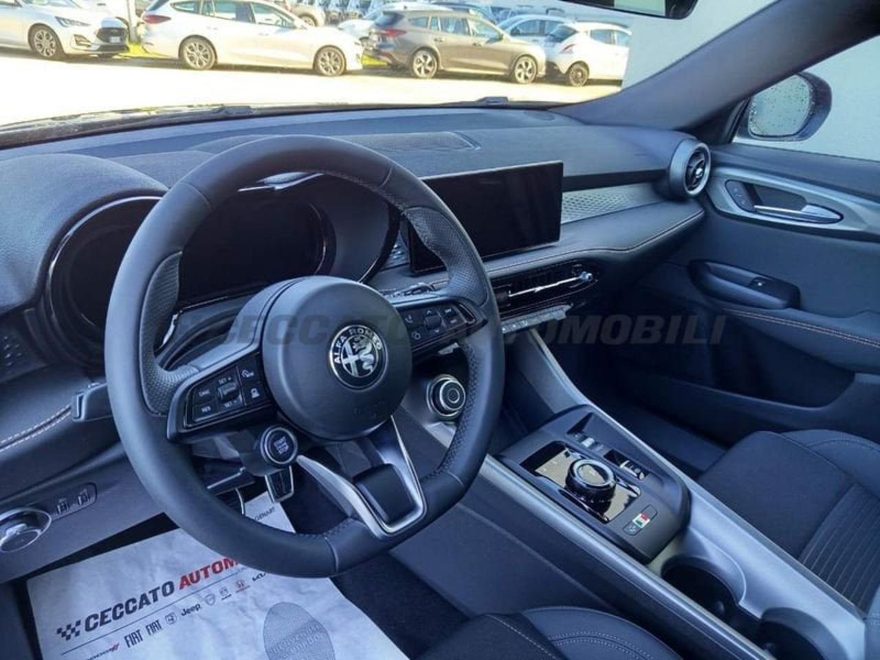 Alfa Romeo Alfa Romeo Tonale usata 12