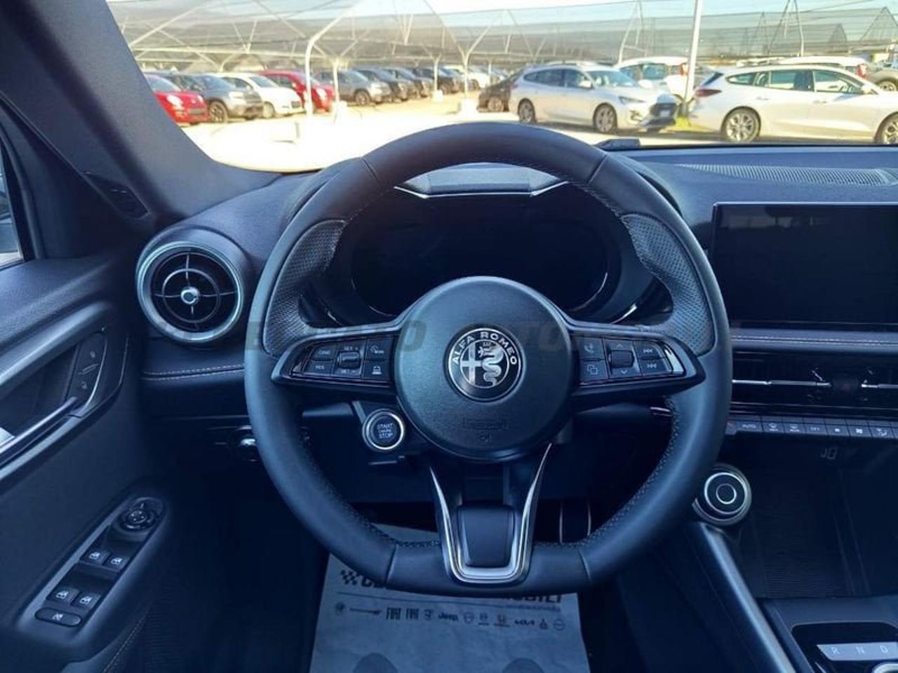 Alfa Romeo Alfa Romeo Tonale usata 13