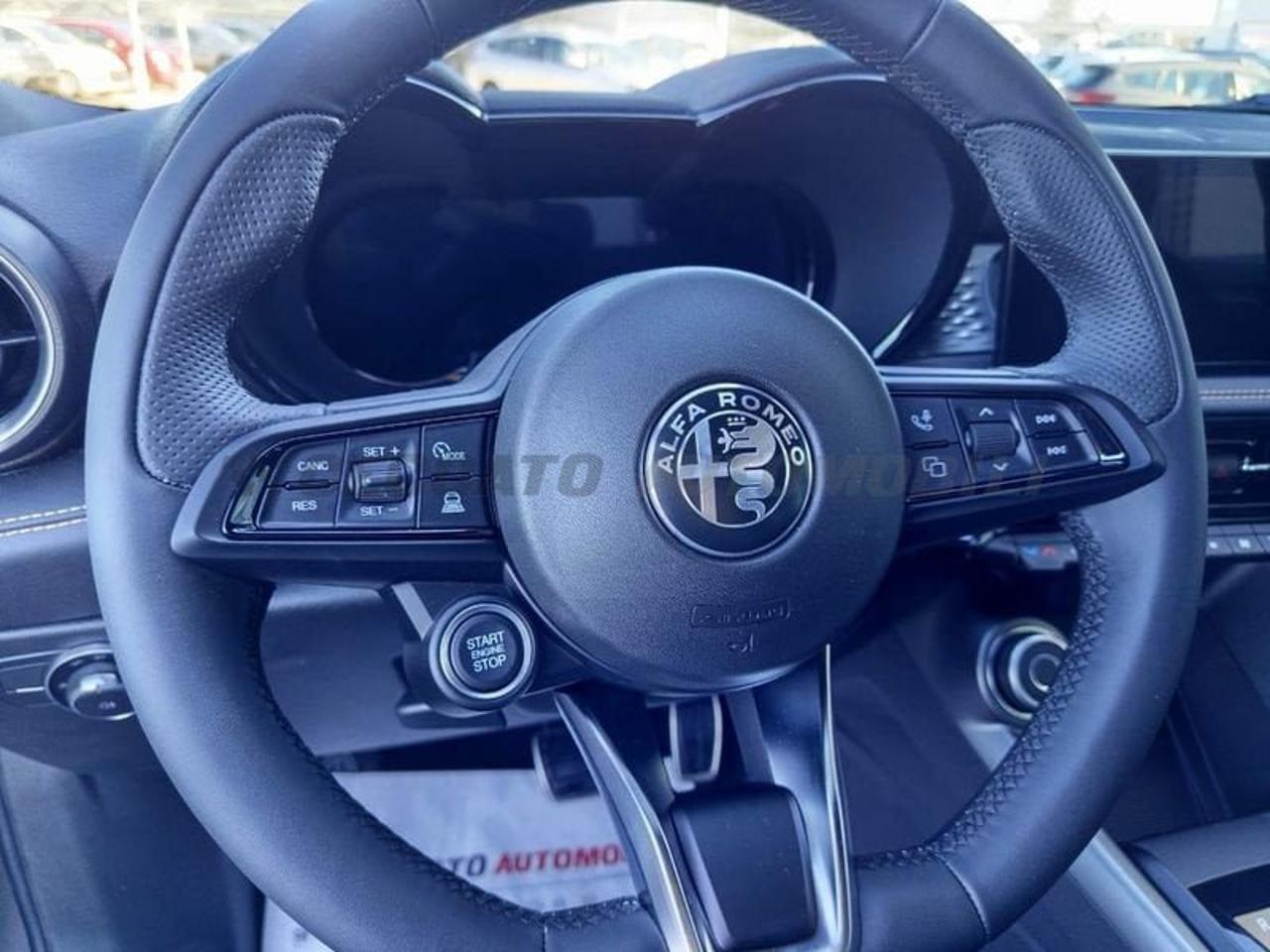 Alfa Romeo Alfa Romeo Tonale usata 14