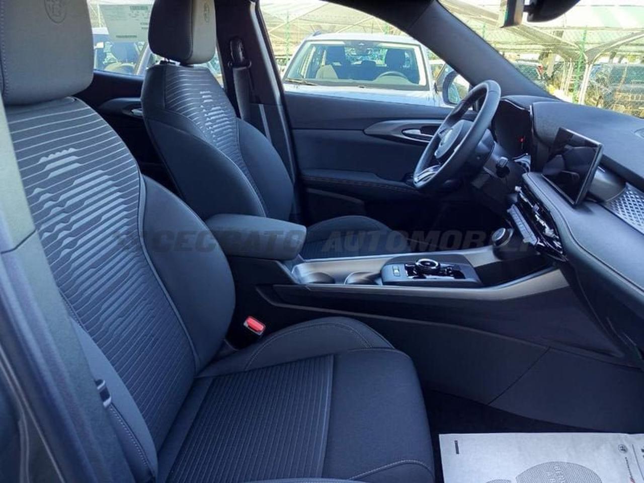 Alfa Romeo Alfa Romeo Tonale usata 16