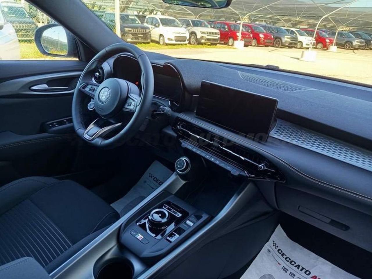 Alfa Romeo Alfa Romeo Tonale usata 21