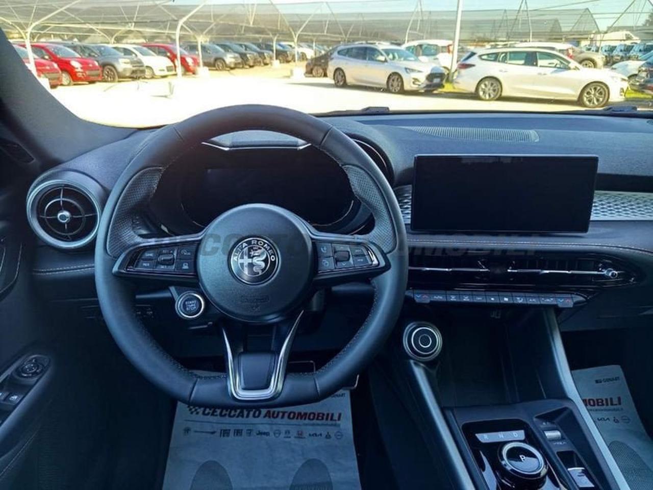 Alfa Romeo Alfa Romeo Tonale usata 22