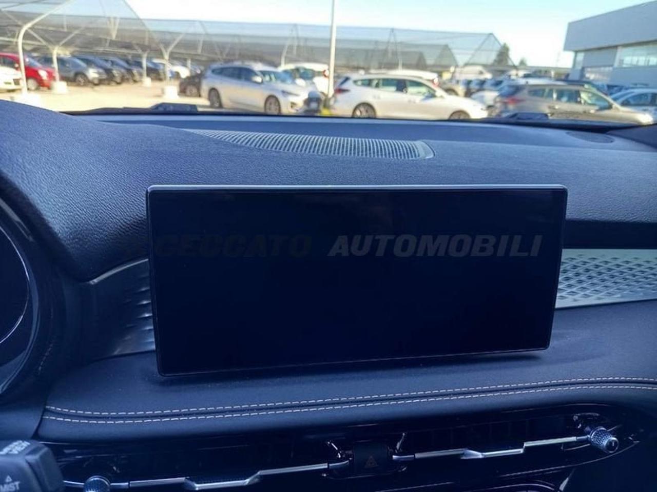 Alfa Romeo Alfa Romeo Tonale usata 23