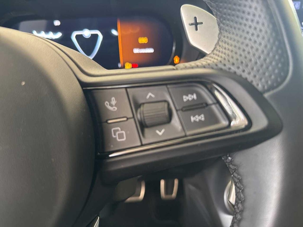 Alfa Romeo Alfa Romeo Tonale usata 13