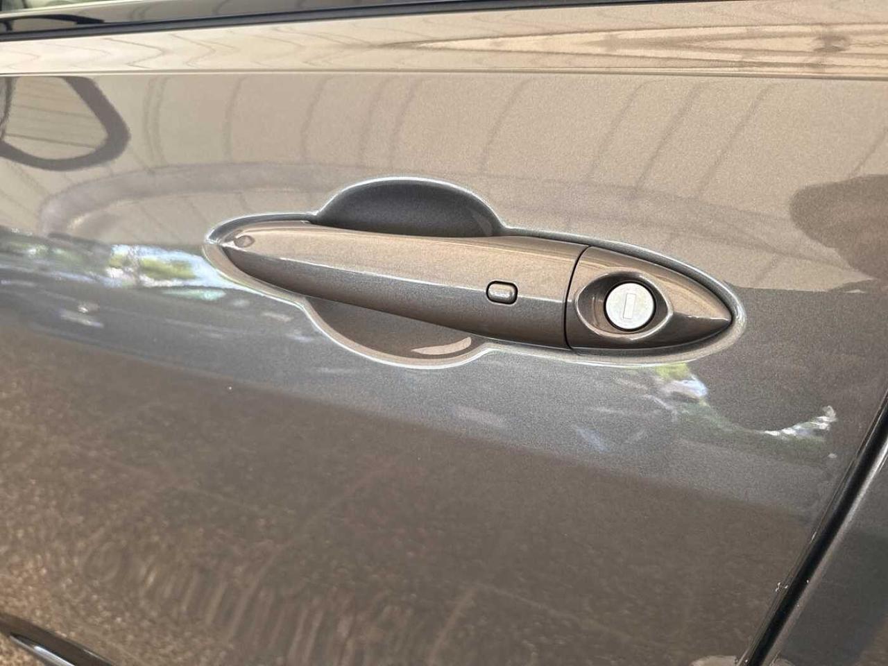 Alfa Romeo Alfa Romeo Tonale usata 22