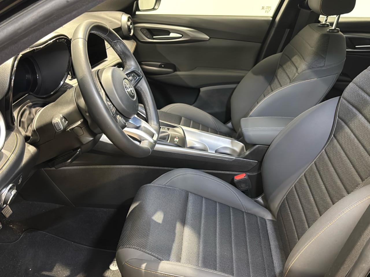 Alfa Romeo Alfa Romeo Tonale usata 21