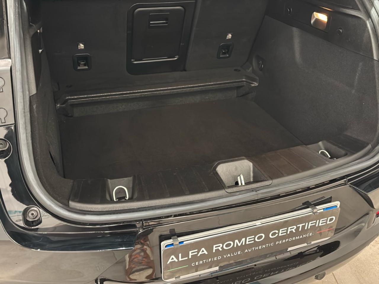 Alfa Romeo Alfa Romeo Tonale usata 7