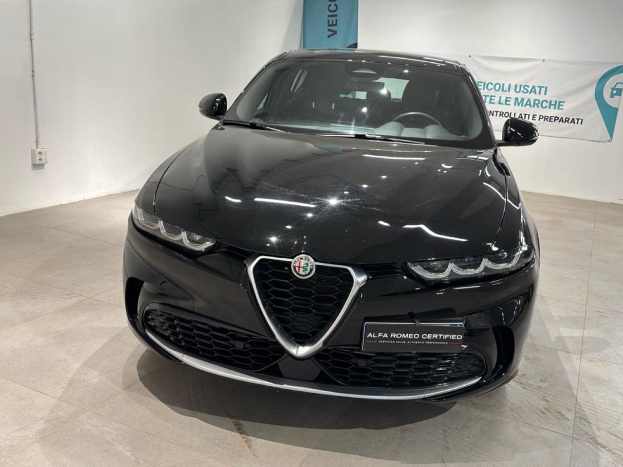 Alfa Romeo Alfa Romeo Tonale usata 11