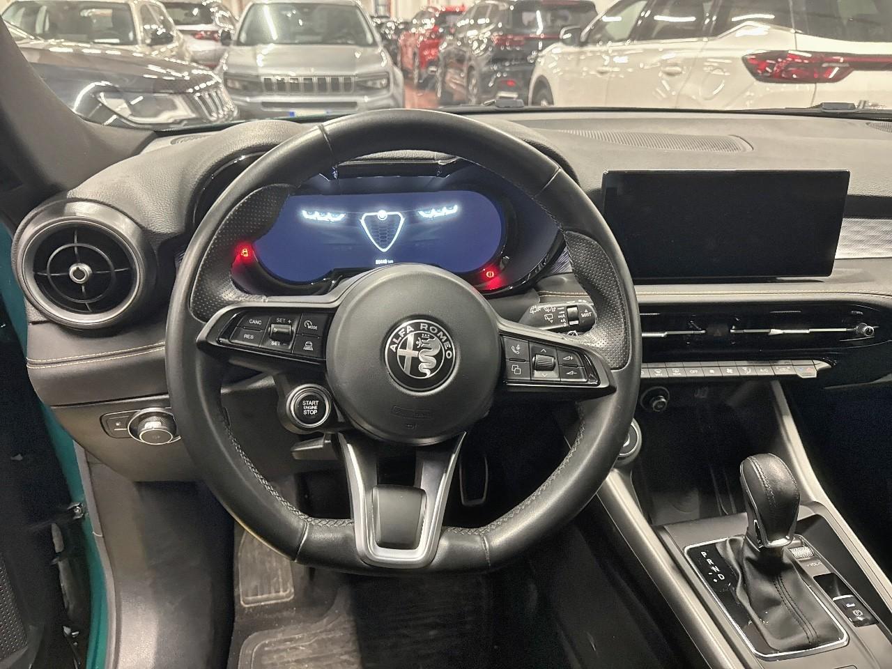 Alfa Romeo Alfa Romeo Tonale usata 7