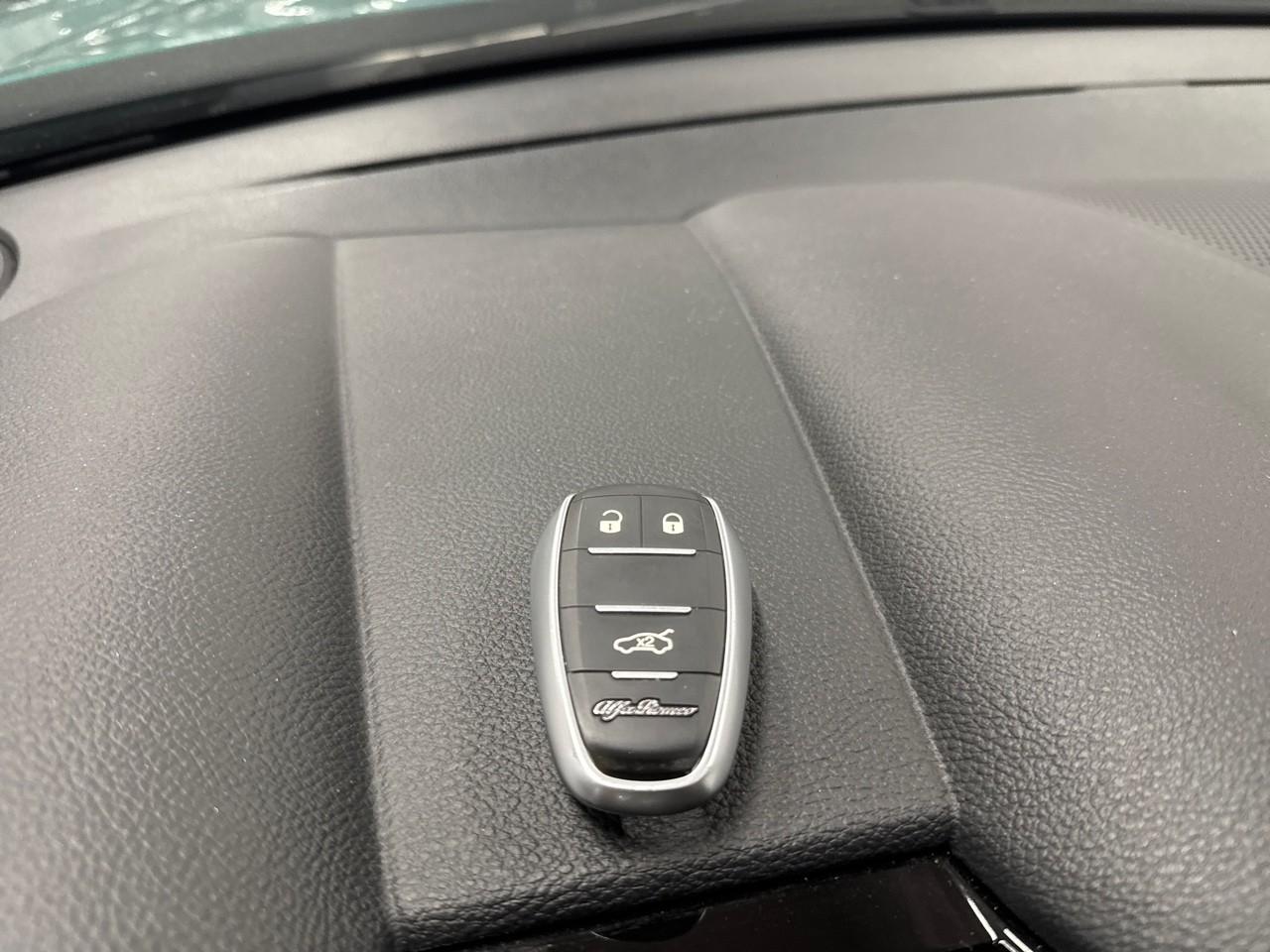 Alfa Romeo Alfa Romeo Tonale usata 9