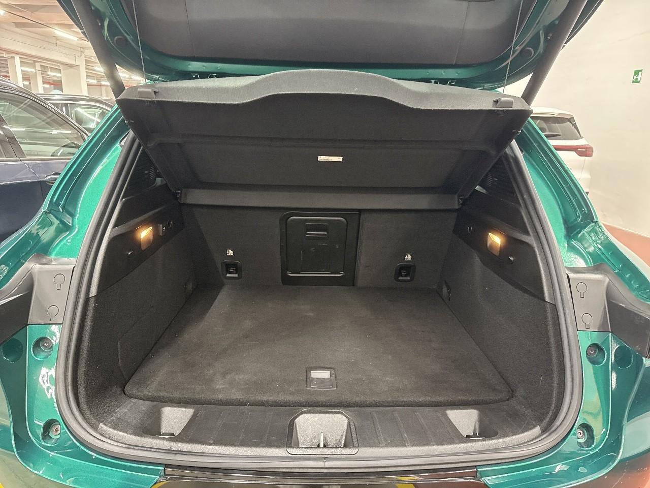 Alfa Romeo Alfa Romeo Tonale usata 17