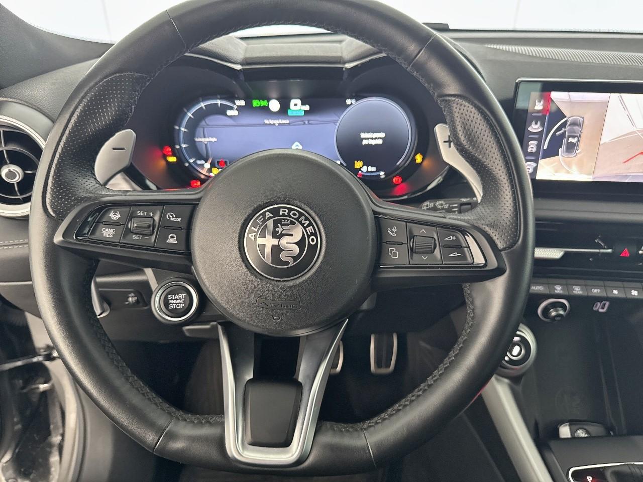 Alfa Romeo Alfa Romeo Tonale usata 8