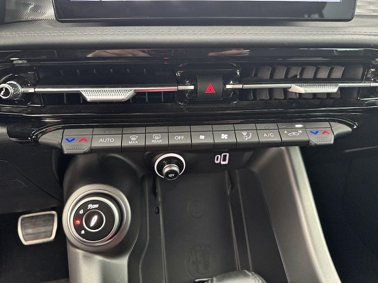 Alfa Romeo Alfa Romeo Tonale usata 10