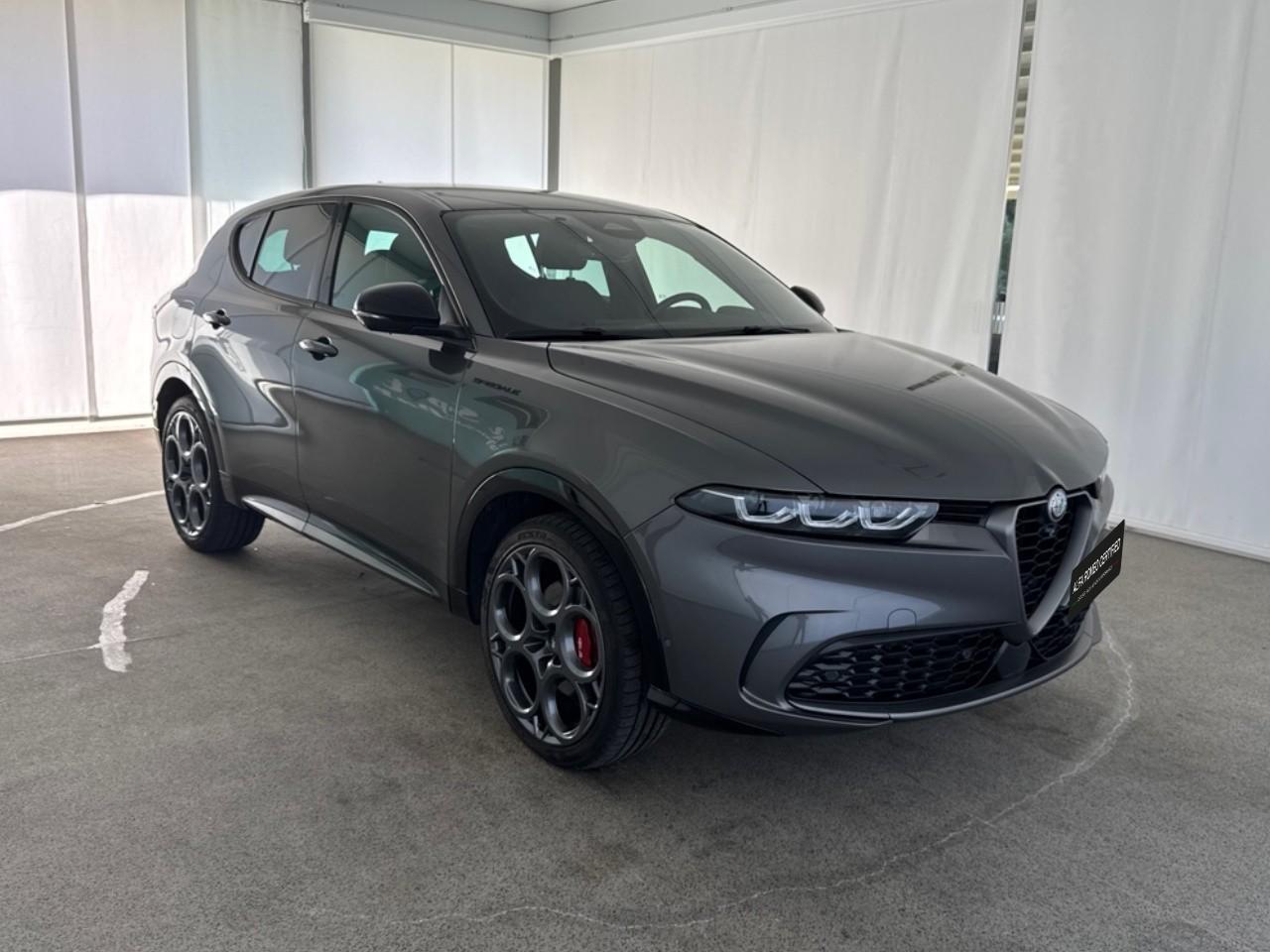 Alfa Romeo Alfa Romeo Tonale usata 14