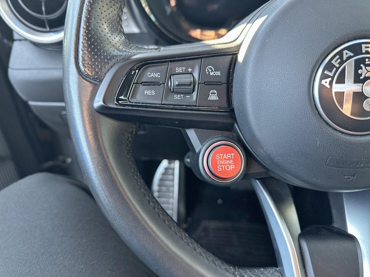 Alfa Romeo Alfa Romeo Tonale usata 8