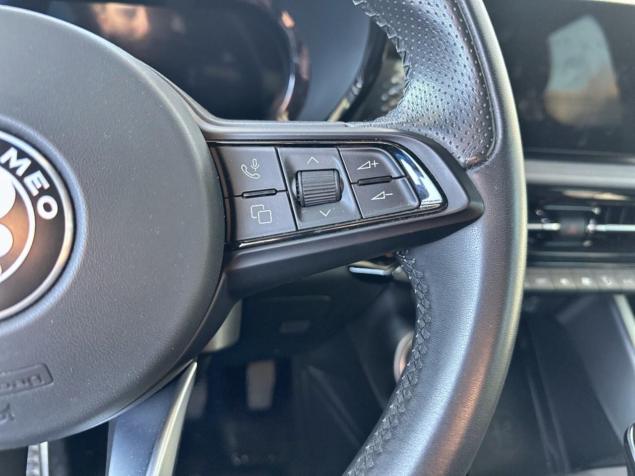 Alfa Romeo Alfa Romeo Tonale usata 9