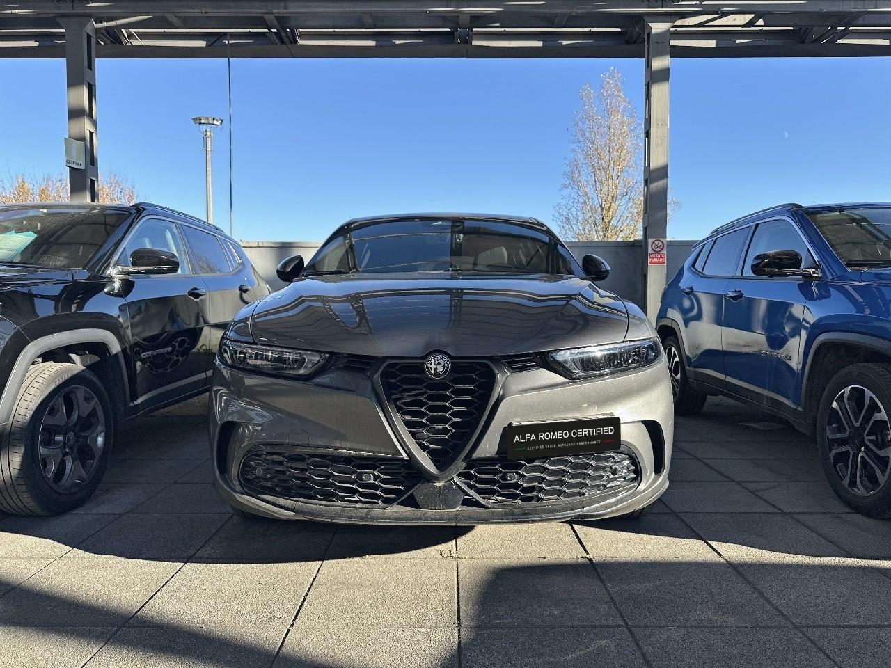 Alfa Romeo Alfa Romeo Tonale usata 11