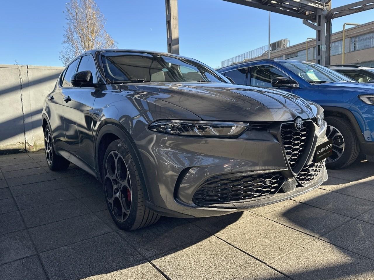 Alfa Romeo Alfa Romeo Tonale usata 14