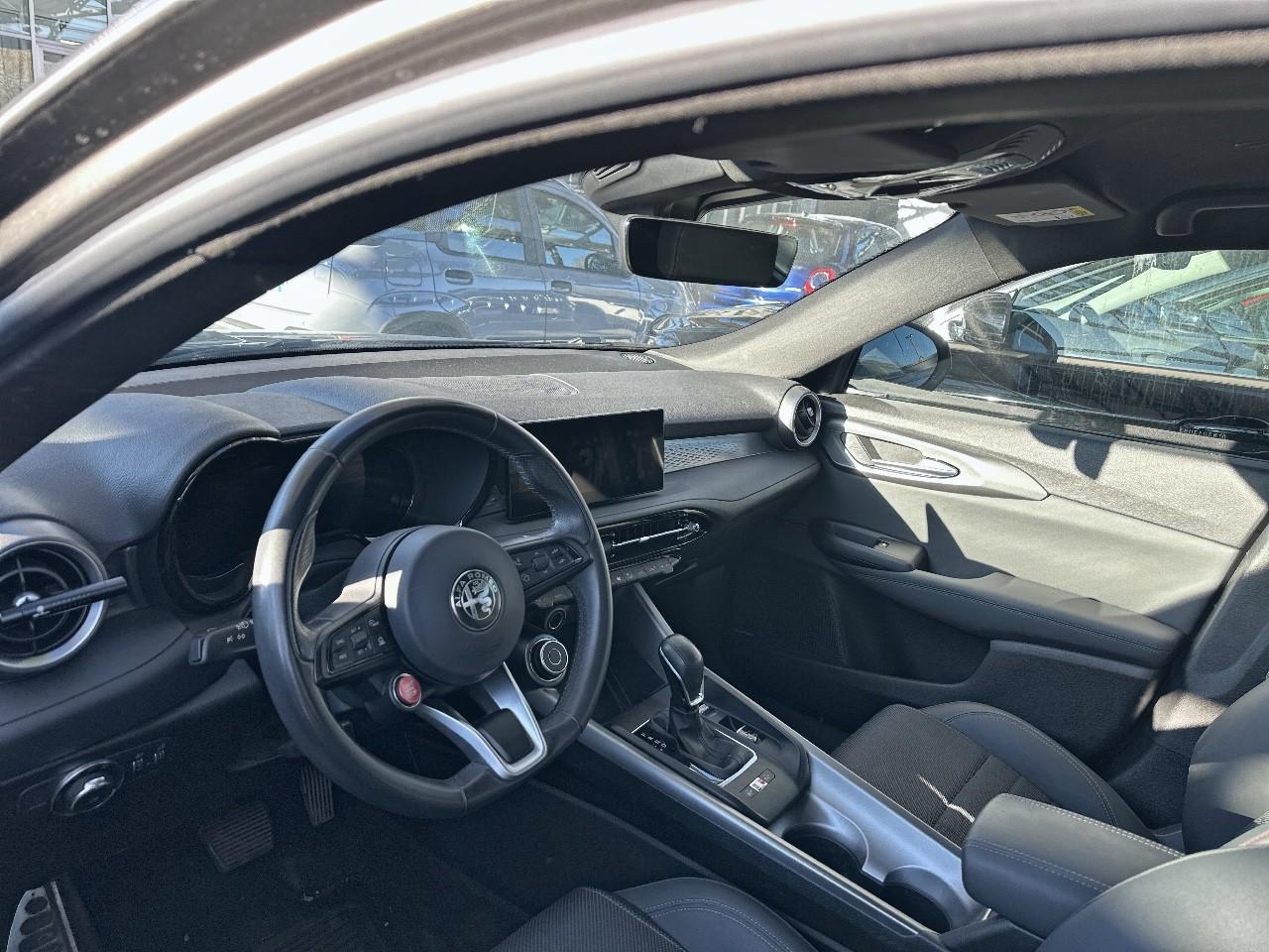 Alfa Romeo Alfa Romeo Tonale usata 19