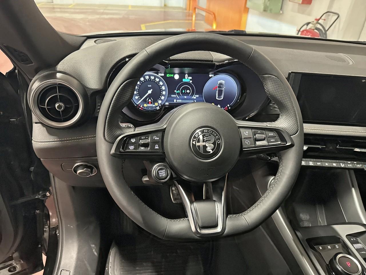 Alfa Romeo Alfa Romeo Tonale usata 7