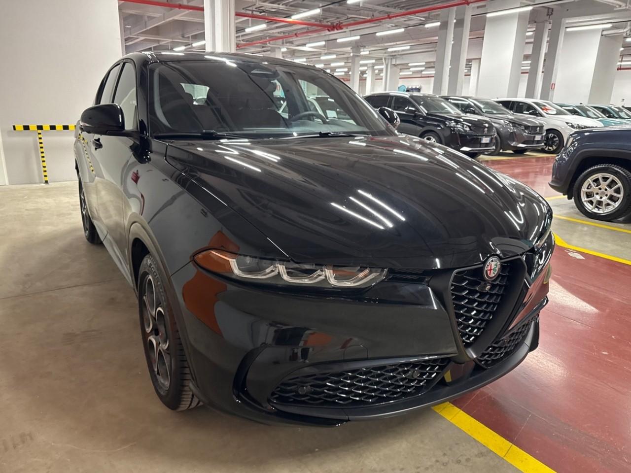 Alfa Romeo Alfa Romeo Tonale usata 14