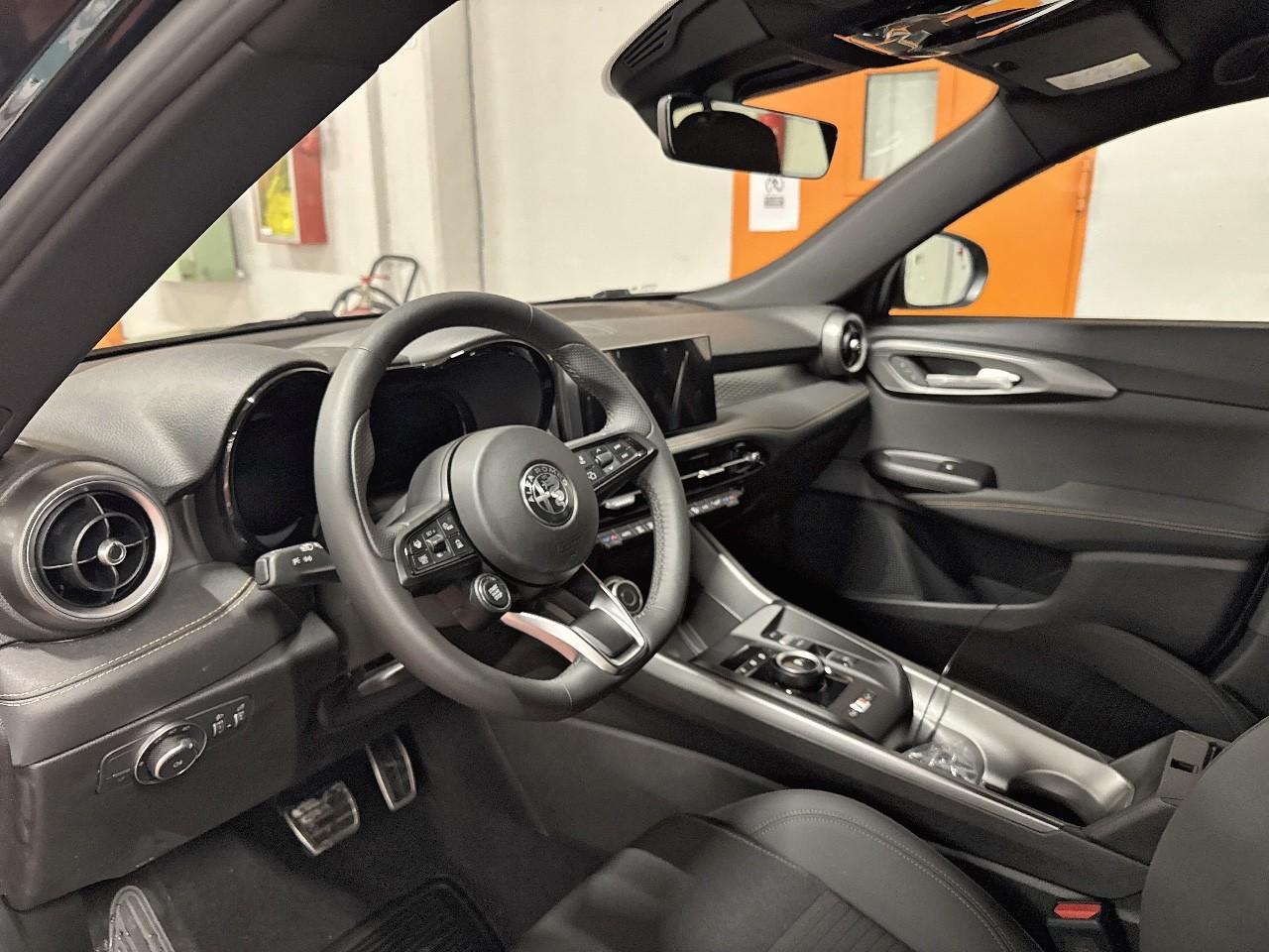 Alfa Romeo Alfa Romeo Tonale usata 19