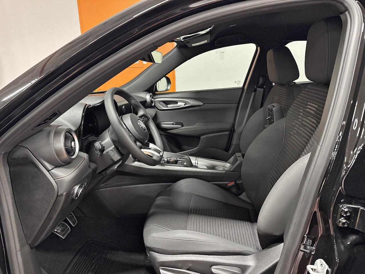 Alfa Romeo Alfa Romeo Tonale usata 20