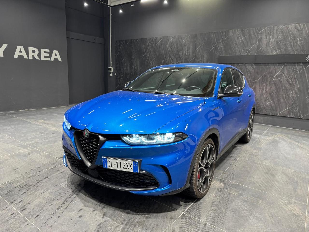 Alfa Romeo Alfa Romeo Tonale usata 12