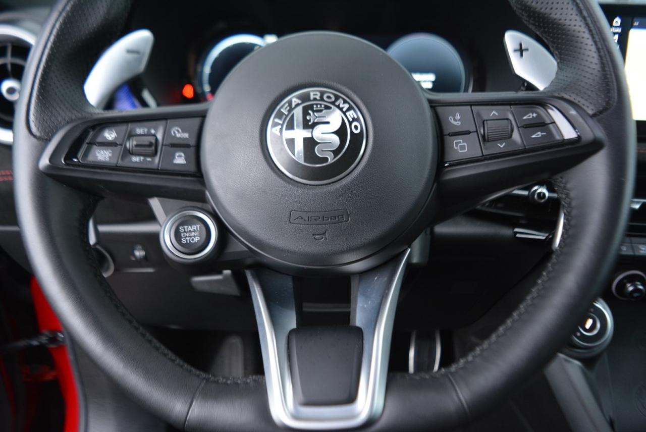 Alfa Romeo Alfa Romeo Tonale usata 8