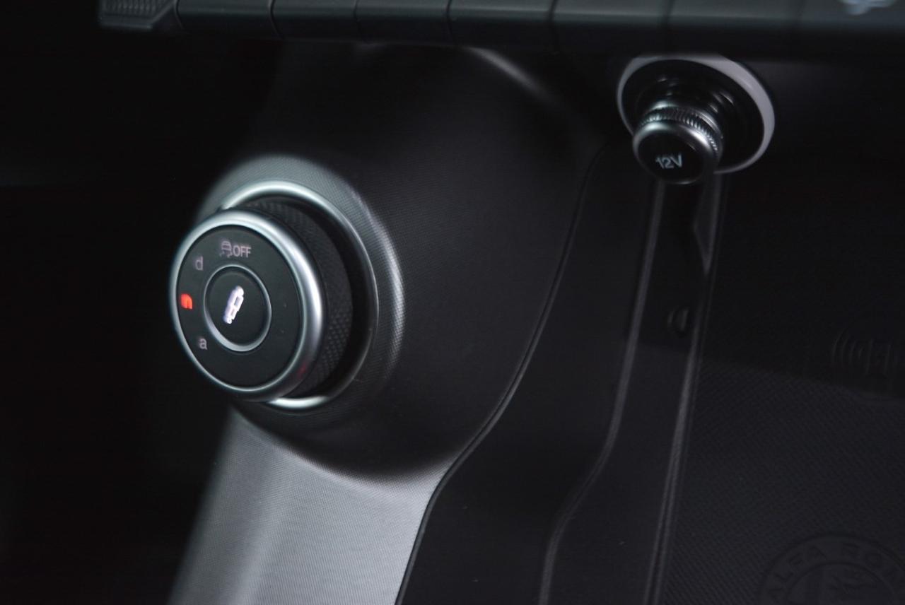 Alfa Romeo Alfa Romeo Tonale usata 10