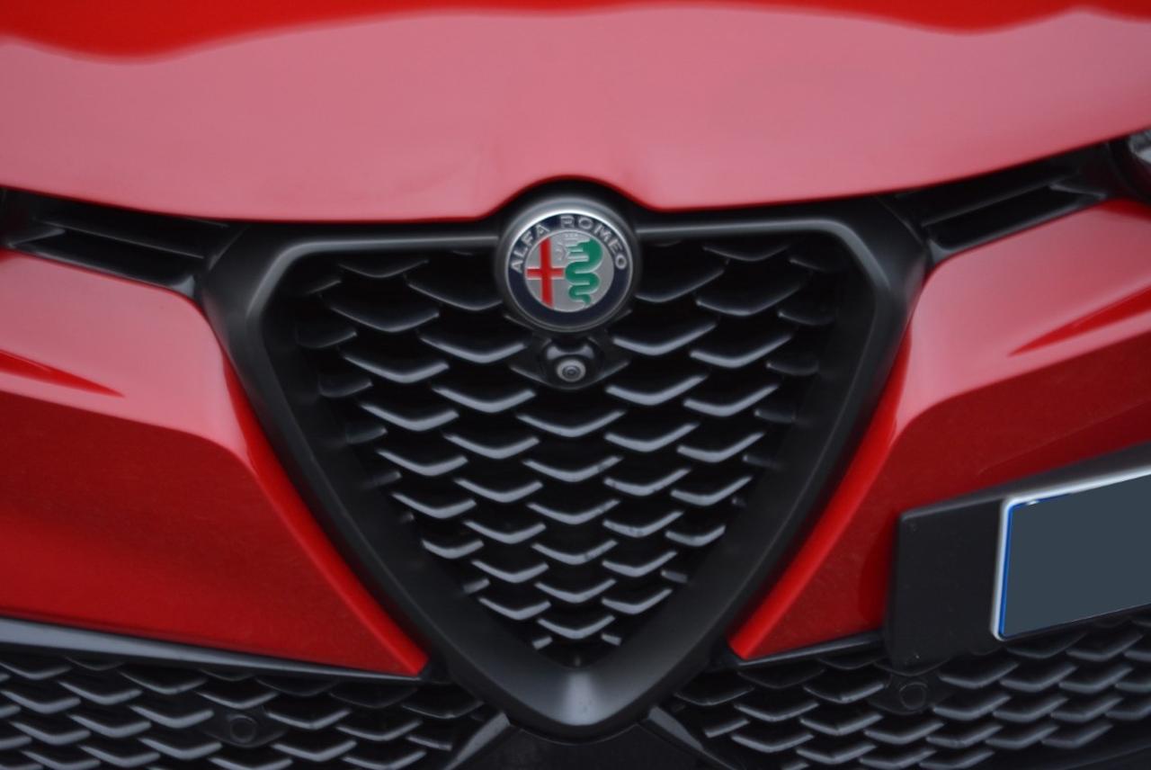 Alfa Romeo Alfa Romeo Tonale usata 14
