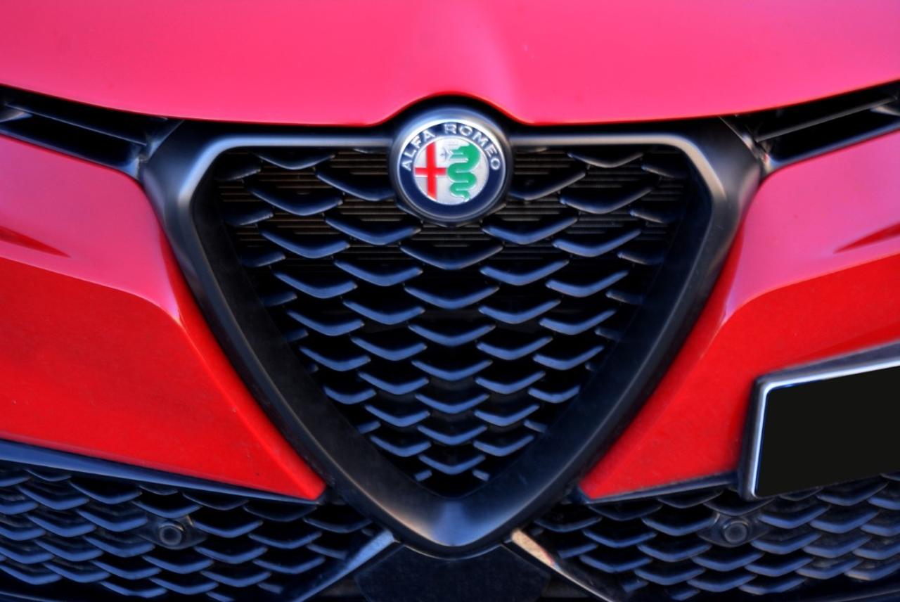 Alfa Romeo Alfa Romeo Tonale usata 14