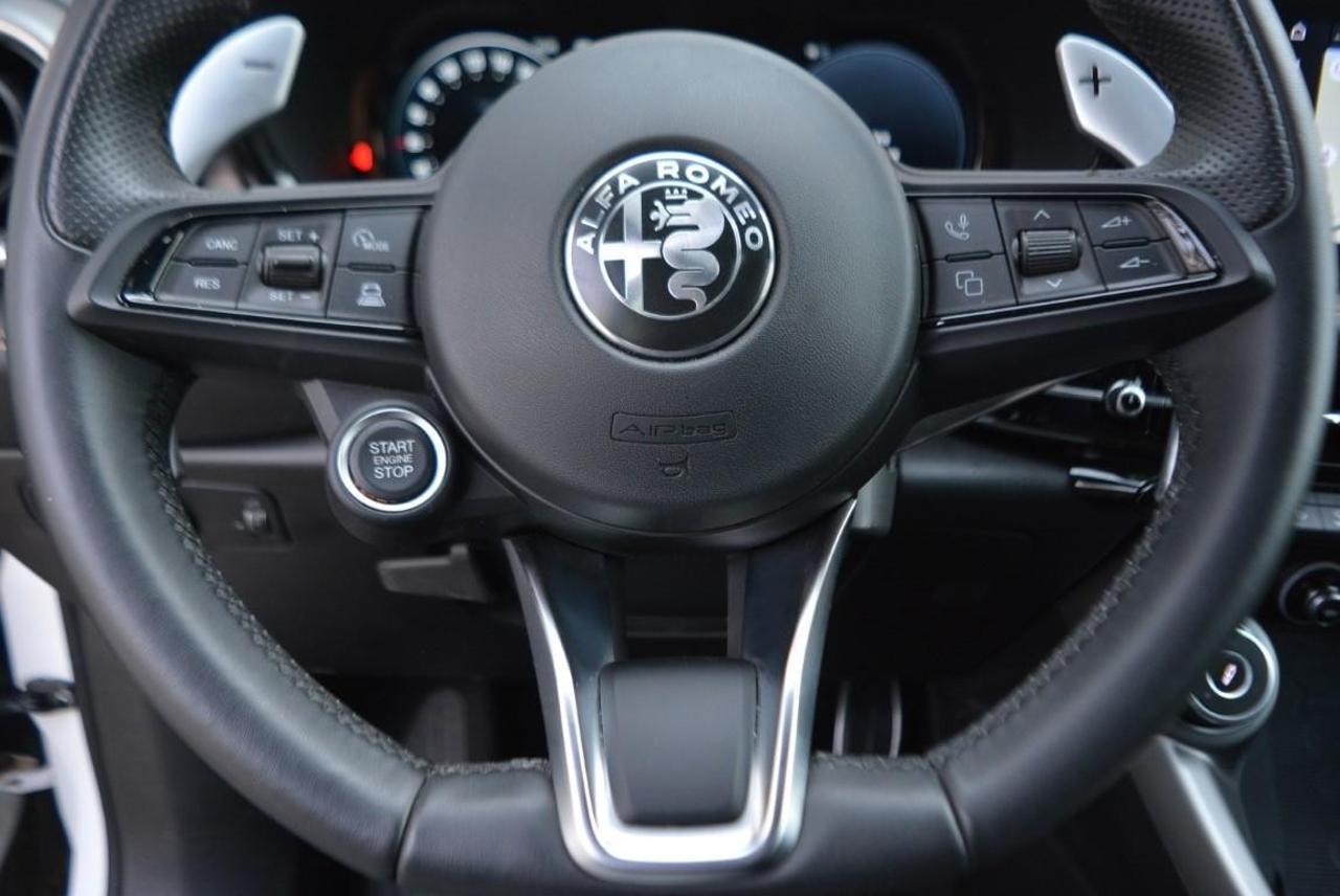 Alfa Romeo Alfa Romeo Tonale usata 7