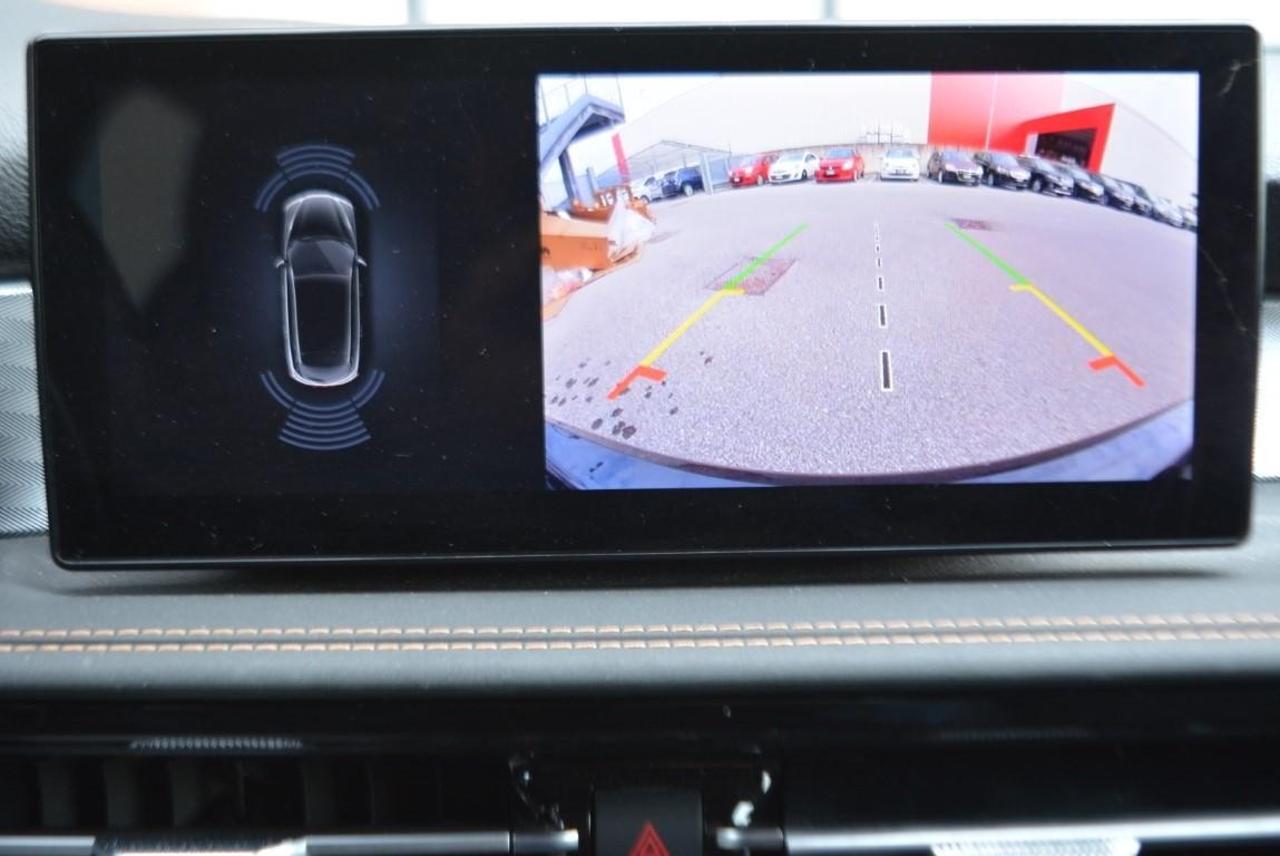 Alfa Romeo Alfa Romeo Tonale usata 12