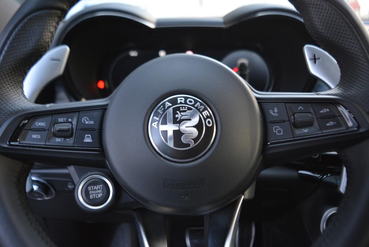 Alfa Romeo Alfa Romeo Tonale usata 7