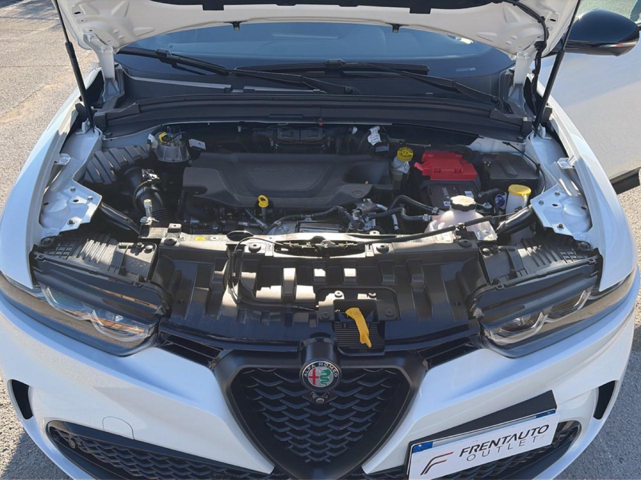 Alfa Romeo Alfa Romeo Tonale usata 4