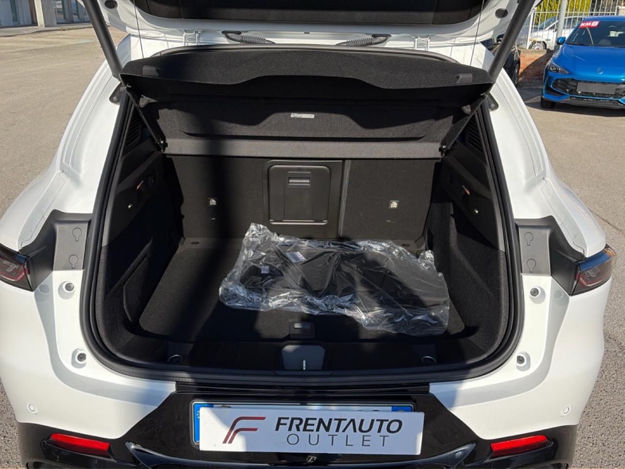 Alfa Romeo Alfa Romeo Tonale usata 5