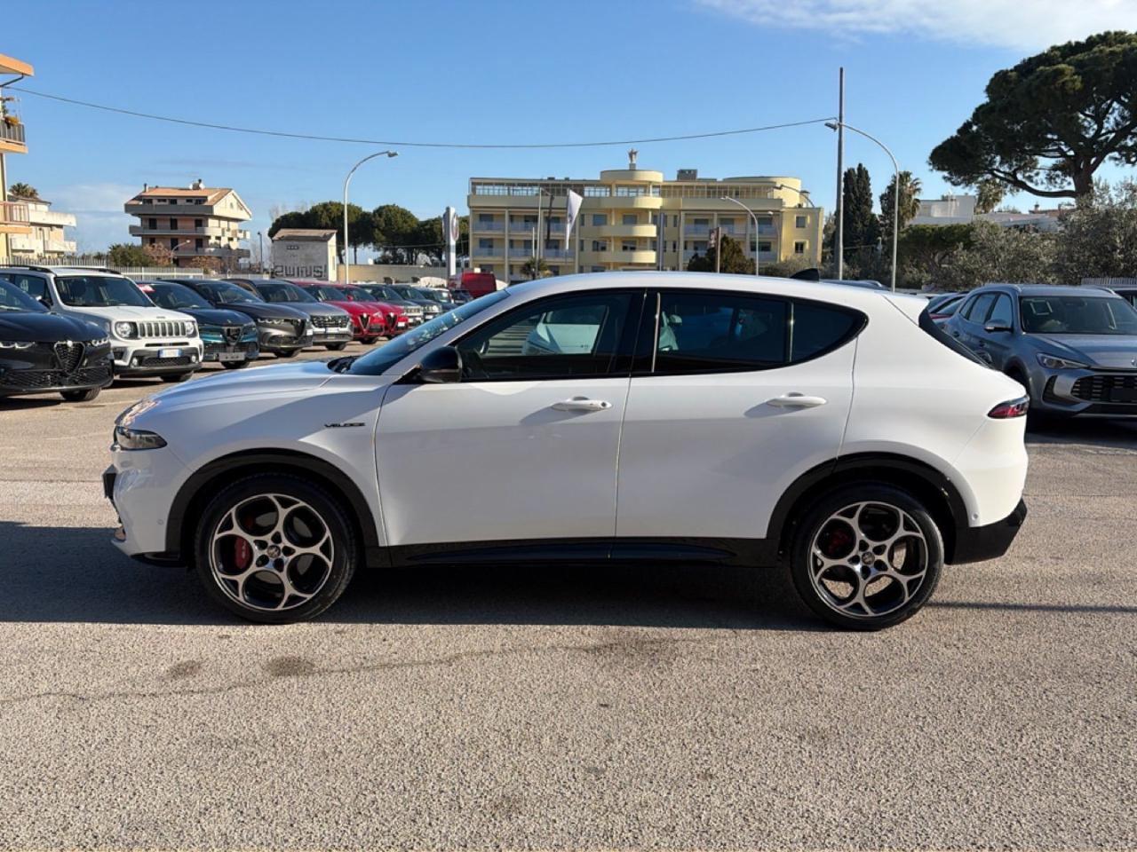 Alfa Romeo Alfa Romeo Tonale usata 11