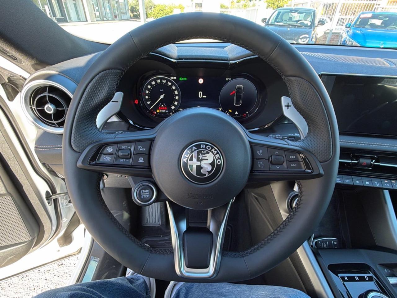 Alfa Romeo Alfa Romeo Tonale usata 12