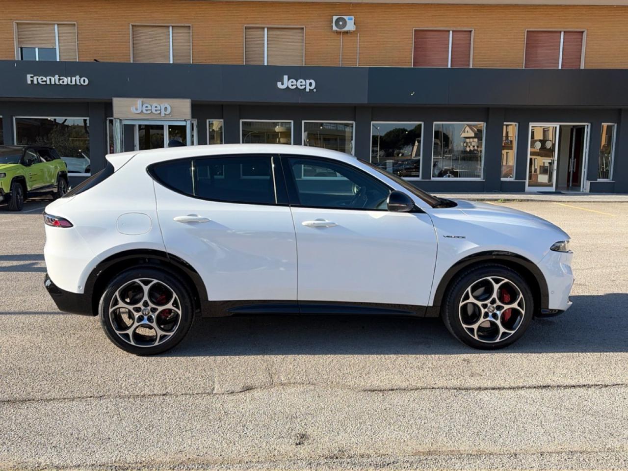 Alfa Romeo Alfa Romeo Tonale usata 25